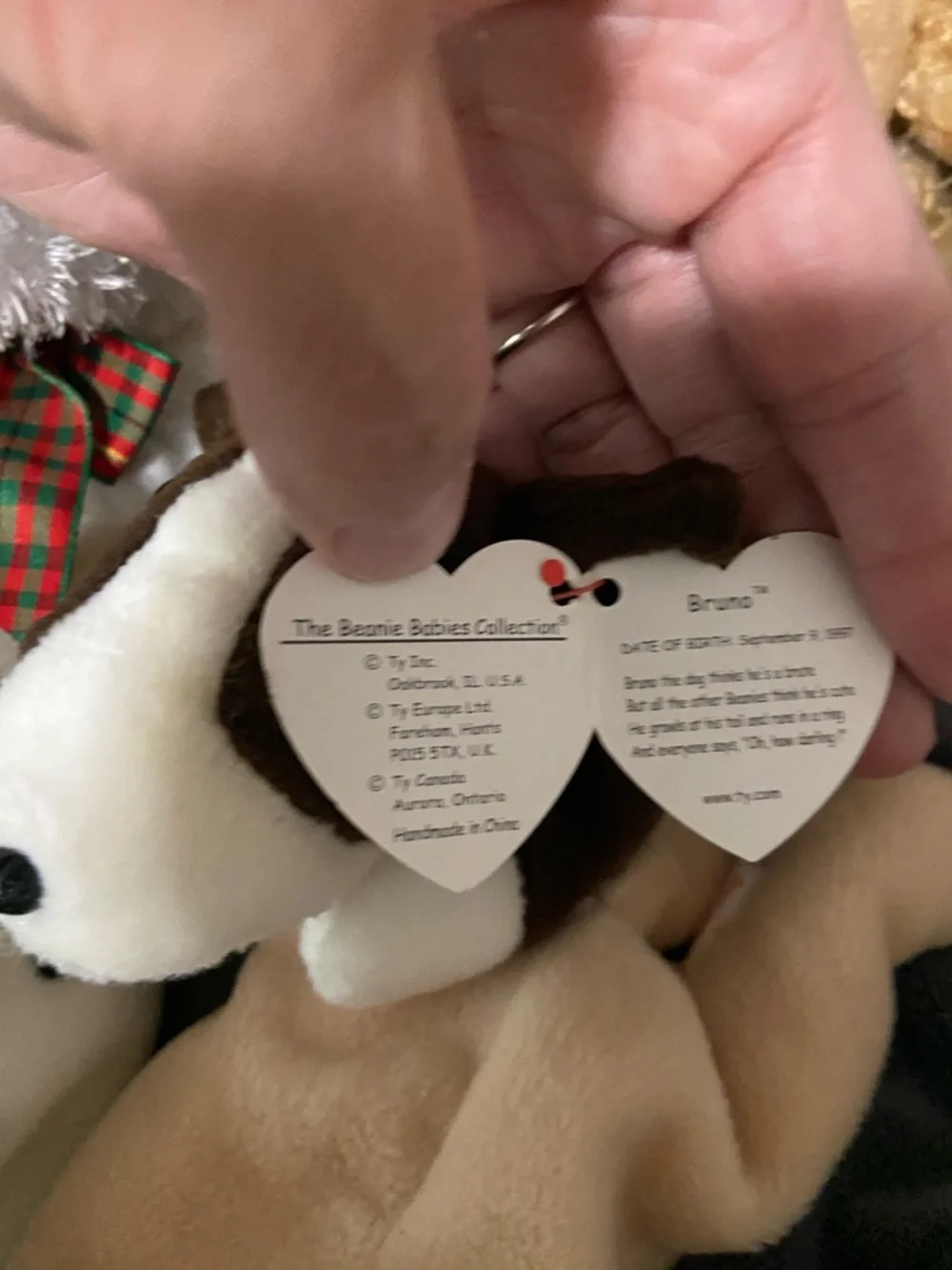TY Beanie Baby Plush Dog Collection - Assorted Tan, Brown, White, Black, Gray